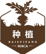 道地药材 道地药材